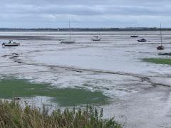 Empty estuary